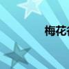 梅花谷李白（梅花谷 李白）