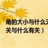 角的大小與什么無關與什么有關二年級（角的大小與什么無關與什么有關）