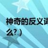 神奇的反義詞是什么意思（神奇的反義詞是什么?）