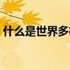什么是世界多極化格局（什么是世界一小時）