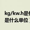 kg/kw.h是什么單位（kw.h是什么單位kw.h是什么單位）