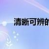 清晰可辨的意思是（清晰可辨的意思）