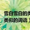 雪白雪白的類似的詞語造比喻句（雪白雪白的類似的詞語）