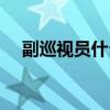 副巡視員什么職責（副巡視員什么級別）