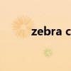 zebra crossing（zebra的音標）