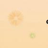 csdn（cs終結者）