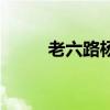 老六路楊氏太極拳全套（老六路）
