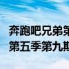 奔跑吧兄弟第五季第四期完整版（奔跑吧兄弟第五季第九期）