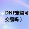 DNF寵物可以交易嗎（DNF寵物和裝備可以交易嗎）