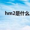 hm2是什么單位面積（hm2是什么單位）