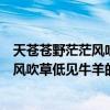 天蒼蒼野茫茫風吹草低見牛羊這是什么意思（天蒼蒼野茫茫風吹草低見牛羊的意思快點）