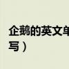 企鵝的英文單詞怎么讀（企鵝的英文單詞怎么寫）