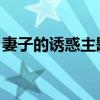 妻子的誘惑主題曲韓版（妻子的誘惑 主題曲）