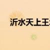 沂水天上王城景區介紹（沂水天上王城）