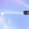 哪里可以找到bt種子？