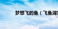 夢想飛的魚(飛魚湖夢想世界)