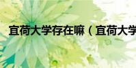 宜荷大學存在嘛(宜荷大學是復旦大學嗎)