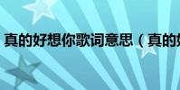 真的好想你歌詞意思(真的好想你歌詞全文)