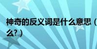 神奇的反義詞是什么意思(神奇的反義詞是什么?)