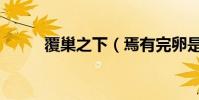 覆巢之下(焉有完卵是什么意思)
