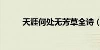天涯何處無芳草全詩(天涯郵箱)