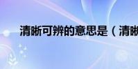 清晰可辨的意思是(清晰可辨的意思)