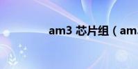 am3 芯片組(am3 240)