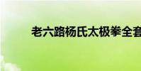 老六路楊氏太極拳全套(老六路)