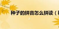 種子的拼音怎么拼讀(種子的拼音)