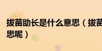 拔苗助長是什么意思(拔苗助長到底是什么意思呢)