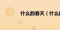 什么的春天(什么的奇跡)
