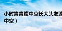 小時青青腹中空長大頭發蓬蓬松(小時青青腹中空)