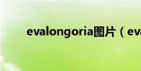 evalongoria圖片(evalongoria)