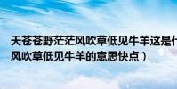天蒼蒼野茫茫風吹草低見牛羊這是什么意思(天蒼蒼野茫茫風吹草低見牛羊的意思快點)