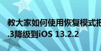 教大家如何使用恢復模式把蘋果手機iOS13.2.3降級到iOS 13.2.2
