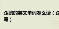 企鵝的英文單詞怎么讀(企鵝的英文單詞怎么寫)