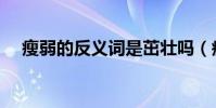 瘦弱的反義詞是茁壯嗎(瘦弱的反義詞)
