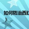 如何防治西紅柿落花落果（如何防治西花薊馬）