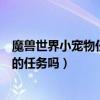 魔獸世界小寵物任務（魔獸世界兒童節除了寵物任務還有別的任務嗎）
