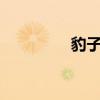 豹子頭林沖（簡介 50字）