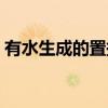 有水生成的置換反應（有水生成的置換反應）