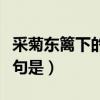 采菊東籬下的后一句是啥（采菊東籬下的后一句是）