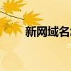 新網域名怎么備案（新網域名管理）