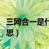 三網合一是什么政策（“三網合一”是什么意思）