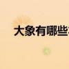 大象有哪些本領介紹（大象有哪些特征）