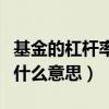基金的杠桿率是什么（杠桿型基金中的杠桿是什么意思）