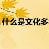 什么是文化多樣性的需要（什么是文化眼光）