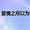愛情之所以為愛情歌詞（愛情之所以為愛情）