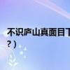 不識廬山真面目下一句押韻（不識廬山真面目,下一句是什么?）