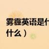霧霾英語是什么（霧霾的英文最正規的英文是什么）